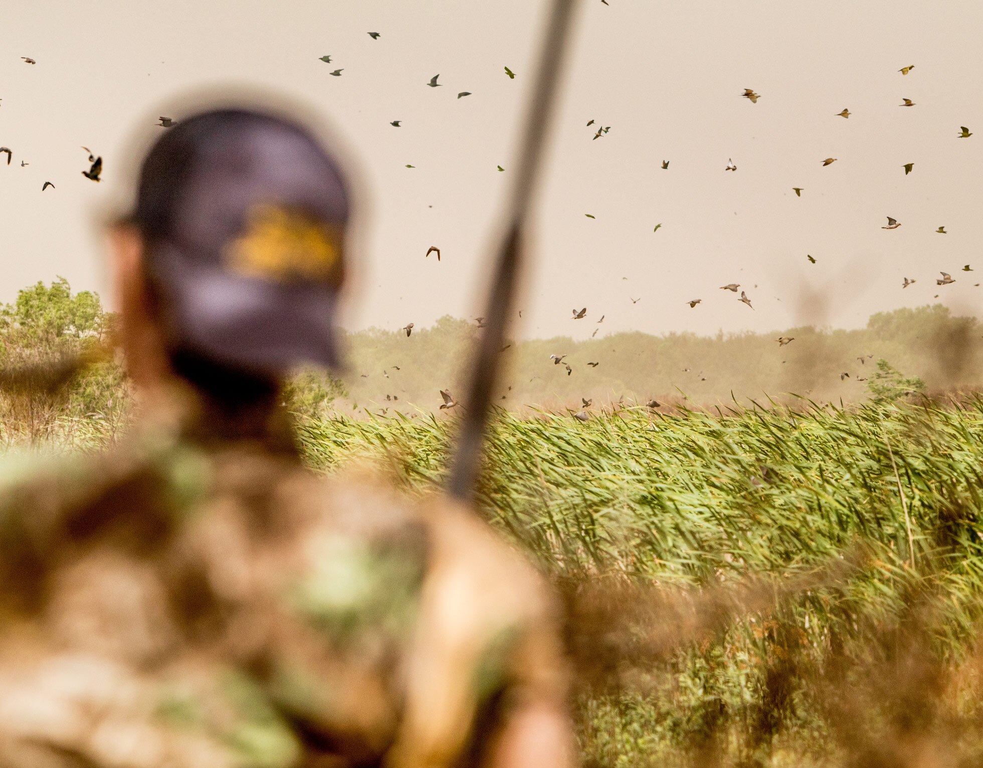 Argentina dove hunting season with H&H Outfitters