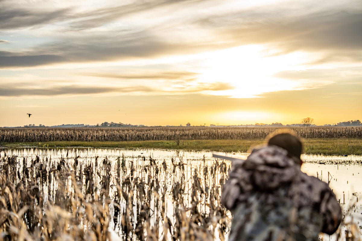 Duck hunting at first light in the Buenos Aires wetlands — Barcinos combined journey