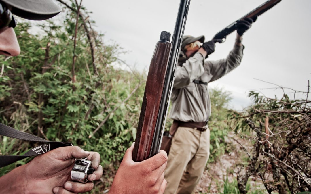 Dove Hunting Tips from Cordoba Experts