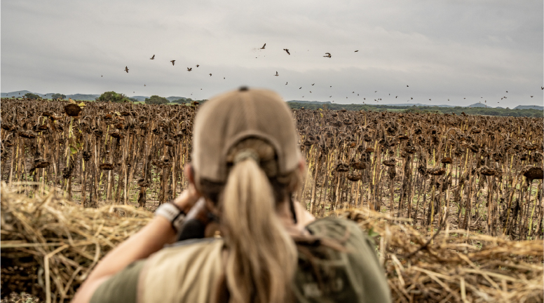 Dove hunting in Argentina with flying doves