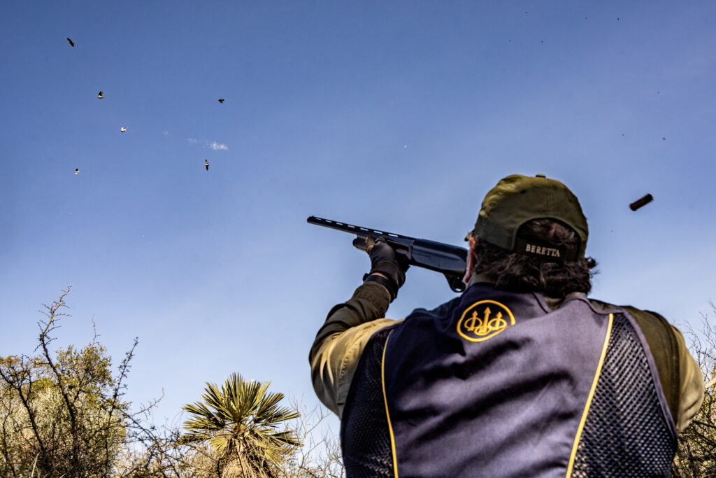 A shooter wearing a Beretta vest and cap aims a shotgun at a flock of birds flying against a clear blue sky, with a spent shell casing ejecting to the side.