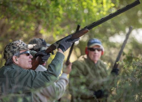 Hunting Tips Dove (3)