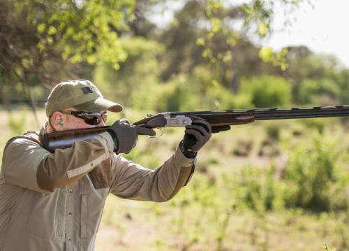Hunting Tips Dove (4)