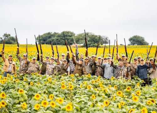 Dove-Season-2025-4